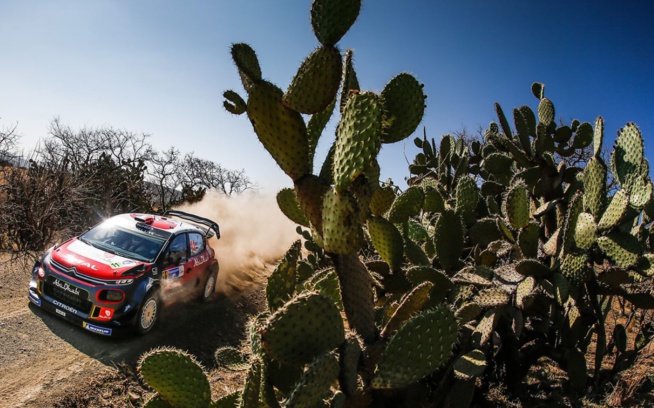 WRC : Les français brillent au Mexique