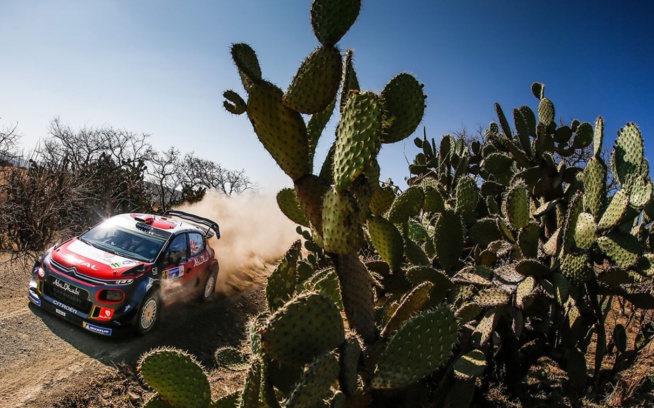 WRC : Les français brillent au Mexique WRC : Les français brillent au Mexique