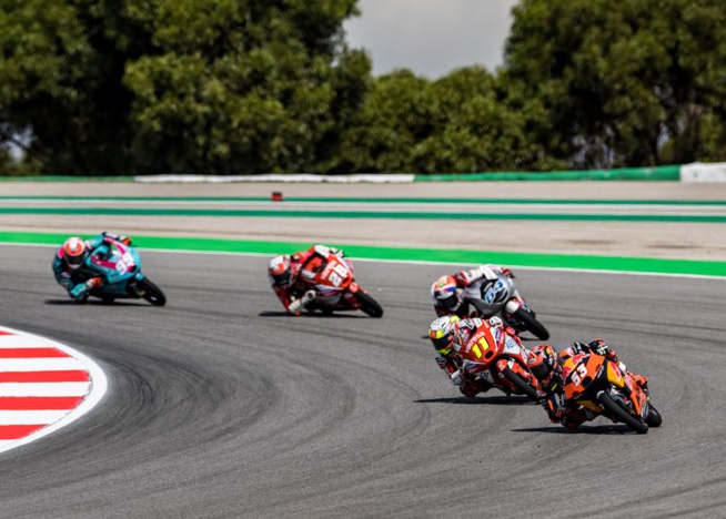 Crédit : Rob Gray (Polarity Photo) Crédit : Rob Gray (Polarity Photo)