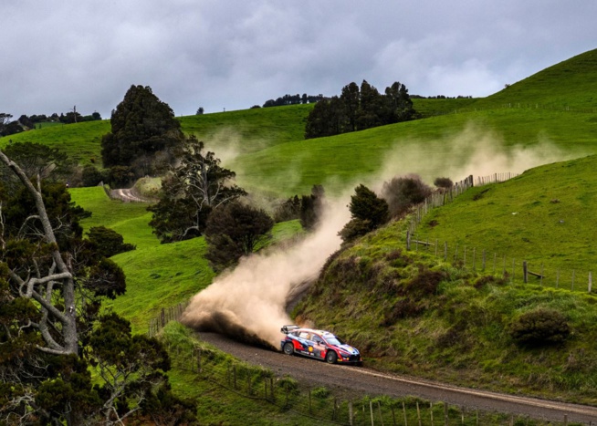 Le décor du rallye de Nouvelle-Zélande (Photo J.Ree Red Bull  content Pool )