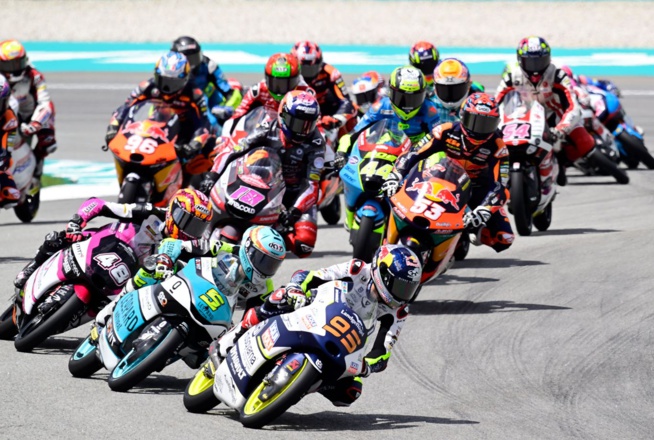 Photo Gold & Goose Red Bull Content Photo Gold & Goose Red Bull Content