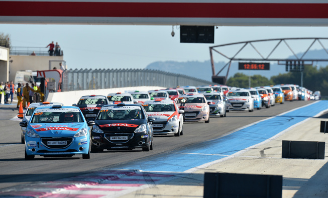 Une impressionnante colonie de lionnes ! Une impressionnante colonie de lionnes !