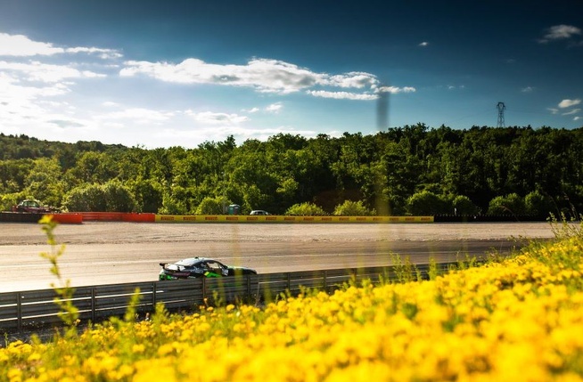 Un décor de printemps (Photo Twenty one creation) Un décor de printemps (Photo Twenty one creation)