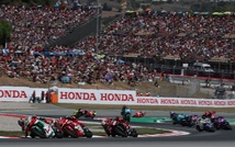 Une bonne bagarre dans le peloton (Gold&Goose) Une bonne bagarre dans le peloton (Gold&Goose)