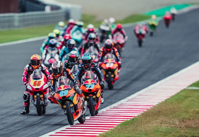 (Rob Gray polarity photo) (Rob Gray polarity photo)