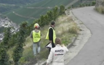 WRC : ALLEMAGNE 2011