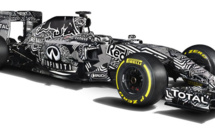F1 : Première image de la RB11