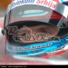 wsrbilbao71