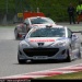 rcz030