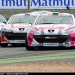 rcz012