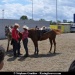 ToursSamediCountry05