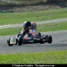 minimesDm15