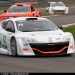 09_worldseriesrenault_spa_meganeD28