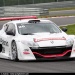 09_worldseriesrenault_spa_meganeD82