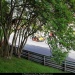 14_Pau_ClioD33