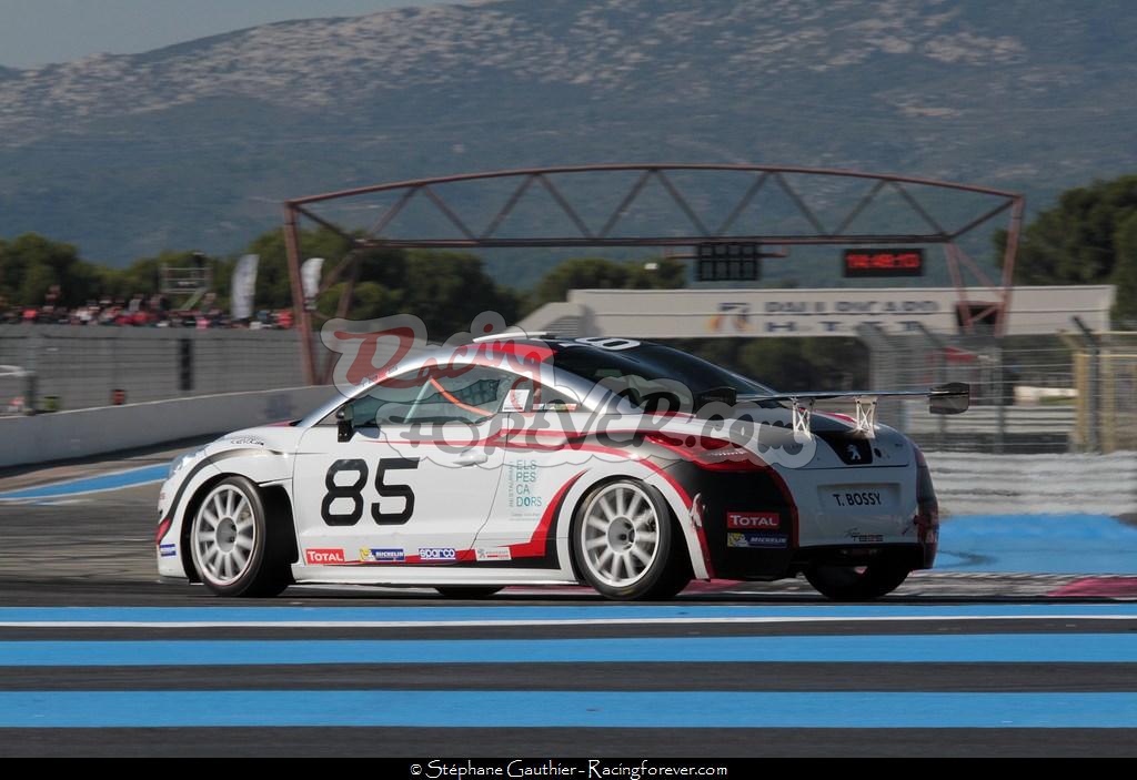 14_GTtour_PaulRicard_RCZ_S79